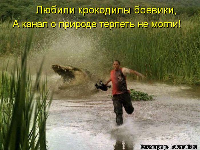 Любили крокодилы боевики, А канал о природе терпеть не могли!... Котоматрица: Любили крокодилы боевики, А канал о природе терпеть не могли!