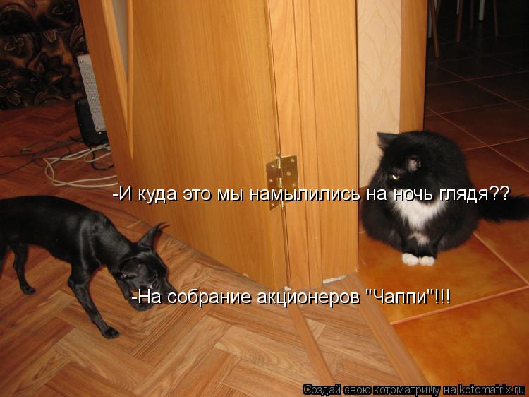 -И куда это мы намылились на ночь глядя?? -На собрание акционеров "Чаппи"!!!... Котоматрица: -И куда это мы намылились на ночь глядя?? -На собрание акционеров "Чаппи"!!!