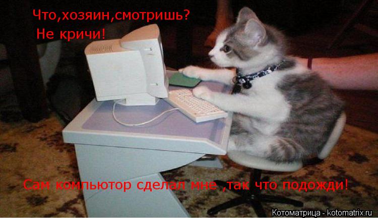 Что,хозяин,смотришь? Не кричи! Сам компьютор сделал мне ,так что подожди!... Котоматрица: Что,хозяин,смотришь? Не кричи! Сам компьютор сделал мне ,так что подожди!