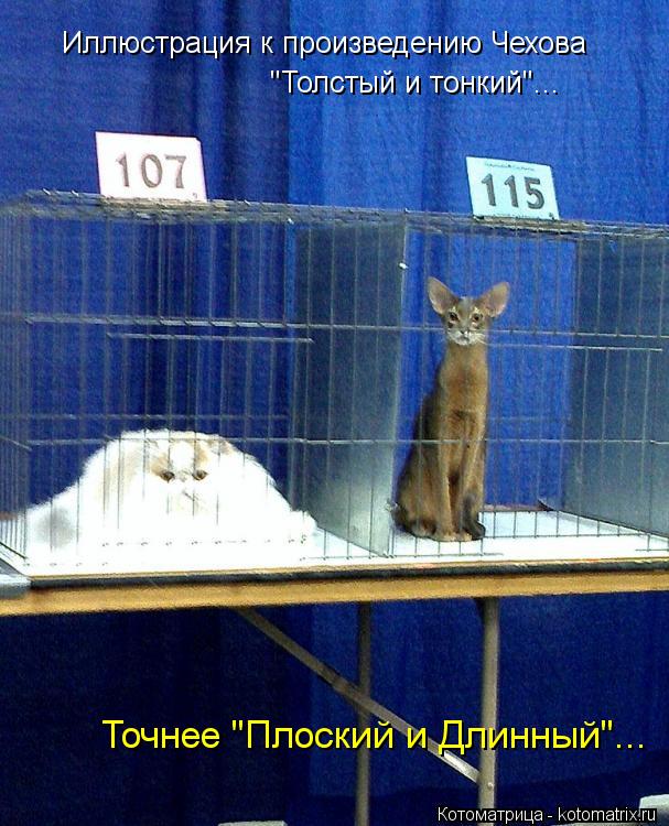 Иллюстрация к произведению Чехова "Толстый и тонкий"... Точнее "Плоский и Длинный"...... Котоматрица: Иллюстрация к произведению Чехова "Толстый и тонкий"... Точнее "Плоский и Длинный"...