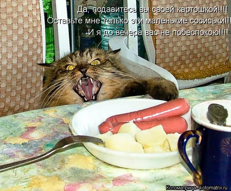 Да, подавитесь вы своей картошкой!!!! Оставьте мне только эти маленькие сосиськи!!!! И я до вечера ва... Котоматрица: Да, подавитесь вы своей картошкой!!!! Оставьте мне только эти маленькие сосиськи!!!! И я до вечера вас не побеспокою!!!!