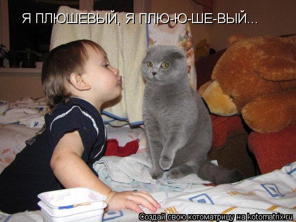 Я ПЛЮШЕВЫЙ, Я ПЛЮ-Ю-ШЕ-ВЫЙ...... Котоматрица: Я ПЛЮШЕВЫЙ, Я ПЛЮ-Ю-ШЕ-ВЫЙ...