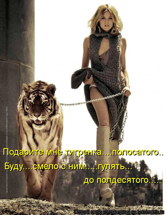 Котоматрица: Подарите мне тигренка....полосатого.. Буду....смело с ним.....гулять... до полдесятого.....