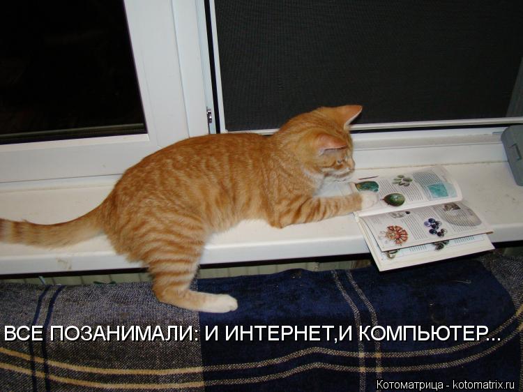 ВСЕ ПОЗАНИМАЛИ: И ИНТЕРНЕТ,И КОМПЬЮТЕР...... Котоматрица: ВСЕ ПОЗАНИМАЛИ: И ИНТЕРНЕТ,И КОМПЬЮТЕР...