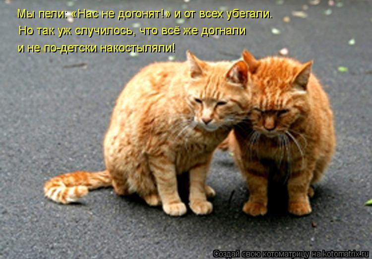 Мы пели: «Нас не догонят!» и от всех убегали. Но так уж случилось, что всё же догнали и не по-детски... Котоматрица: Мы пели: «Нас не догонят!» и от всех убегали. Но так уж случилось, что всё же догнали и не по-детски накостыляли!