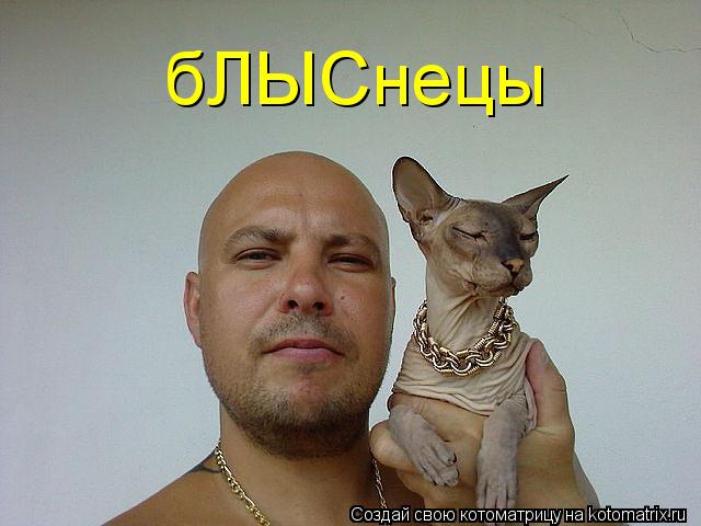 бЛЫСнецы... Котоматрица: бЛЫСнецы