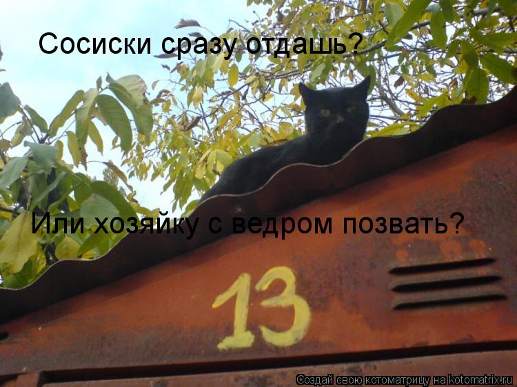 Сосиски сразу отдашь? Или хозяйку с ведром позвать?... Котоматрица: Сосиски сразу отдашь? Или хозяйку с ведром позвать?