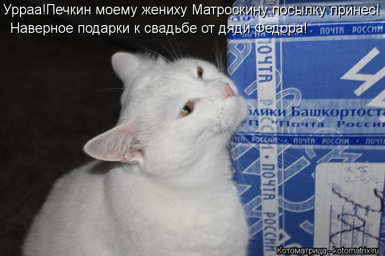 Урраа!Печкин моему жениху Матроскину посылку принес! Наверное подарки к свадьбе от дяди Федора!... Котоматрица: Урраа!Печкин моему жениху Матроскину посылку принес! Наверное подарки к свадьбе от дяди Федора!