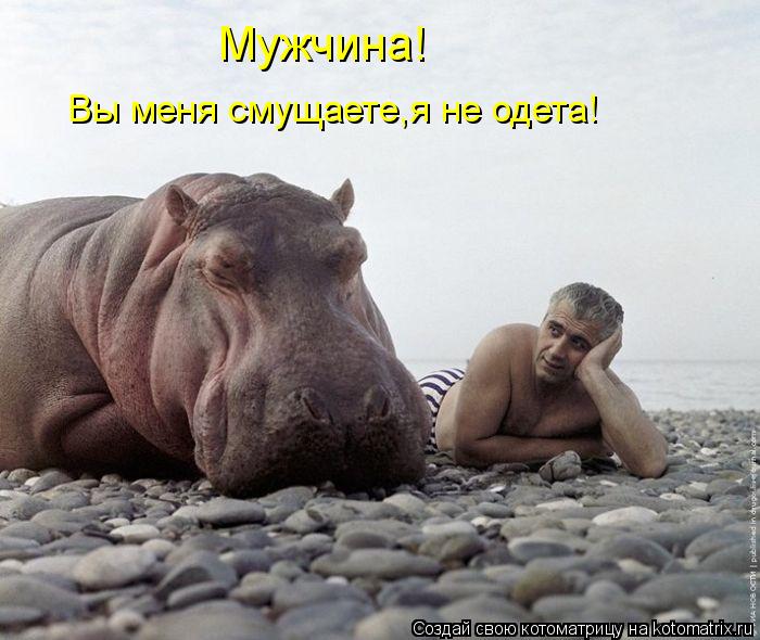 Котоматрица: Мужчина! Вы меня смущаете,я не одета!