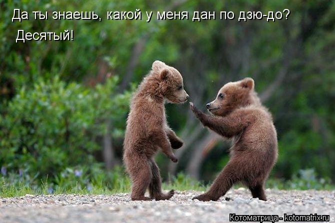 Да ты знаешь, какой у меня дан по дзю-до? Десятый!... Котоматрица: Да ты знаешь, какой у меня дан по дзю-до? Десятый!