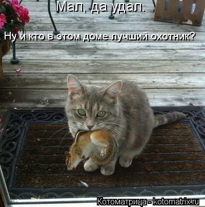 Мал, да удал. Ну и кто в этом доме лучший охотник?... Котоматрица: Мал, да удал. Ну и кто в этом доме лучший охотник?