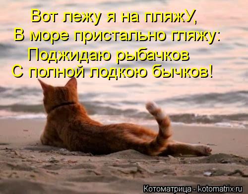 Вот лежу я на пляжУ, В море пристально гляжу: Поджидаю рыбачков С полной лодкою бычков!... Котоматрица: Вот лежу я на пляжУ, В море пристально гляжу: Поджидаю рыбачков С полной лодкою бычков!