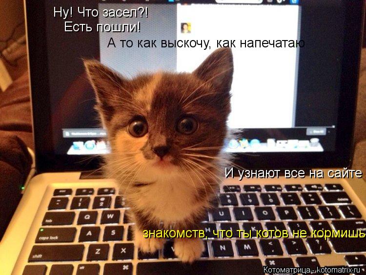 Ну! Что засел?! Есть пошли! А то как выскочу, как напечатаю И узнают все на сайте знакомств, что ты к... Котоматрица: Ну! Что засел?! Есть пошли! А то как выскочу, как напечатаю И узнают все на сайте знакомств, что ты котов не кормишь