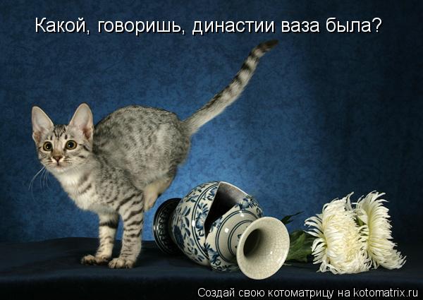 Какой, говоришь, династии ваза была?... Котоматрица: Какой, говоришь, династии ваза была?