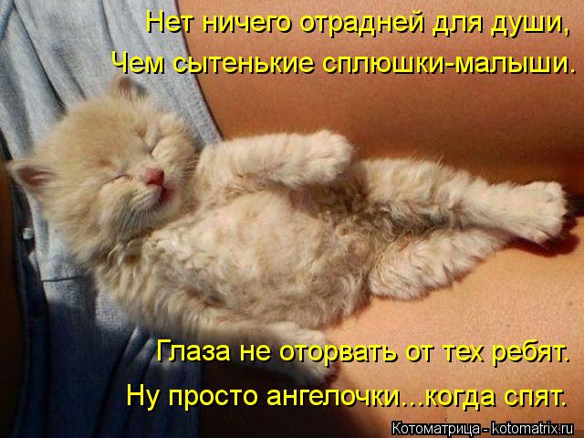 Нет ничего отрадней для души, Чем сытенькие сплюшки-малыши. Глаза не оторвать от тех ребят. Ну просто... Котоматрица: Нет ничего отрадней для души, Чем сытенькие сплюшки-малыши. Глаза не оторвать от тех ребят. Ну просто ангелочки...когда спят.