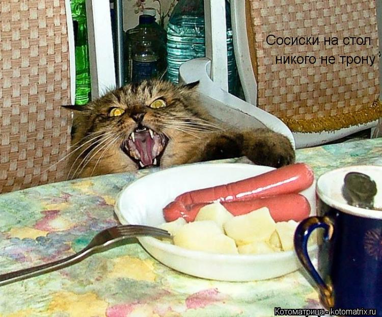 Сосиски на стол никого не трону... Котоматрица: Сосиски на стол никого не трону