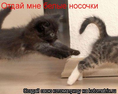 Отдай мне белые носочки... Котоматрица: Отдай мне белые носочки