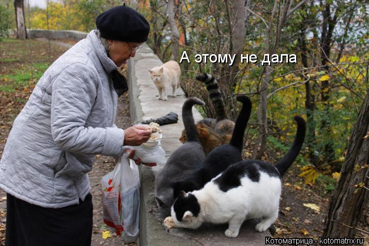 А этому не дала... Котоматрица: А этому не дала