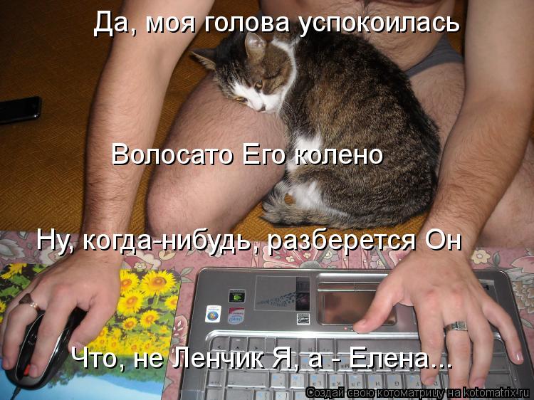 Да, моя голова успокоилась Волосато Его колено Ну, когда-нибудь, разберется Он Что, не Ленчик Я, а - ... Котоматрица: Да, моя голова успокоилась Волосато Его колено Ну, когда-нибудь, разберется Он Что, не Ленчик Я, а - Елена...