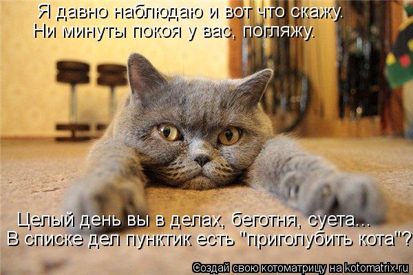 Ни минуты покоя у вас, погляжу. Я давно наблюдаю и вот что скажу. Целый день вы в делах, беготня, суе... Котоматрица: Ни минуты покоя у вас, погляжу. Я давно наблюдаю и вот что скажу. Целый день вы в делах, беготня, суета... В списке дел пунктик есть "приголубит