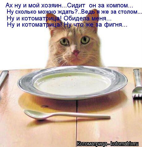 Ах ну и мой хозяин...Сидит он за компом... Ну сколько можно ждать?..Ведь я же за столом... Ну и кот... Котоматрица: Ах ну и мой хозяин...Сидит он за компом... Ну сколько можно ждать?..Ведь я же за столом... Ну и котоматрица! Обидела меня... Ну и котоматрица! Ну ч