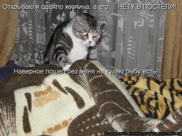 Открываю я одеяло хозяина, а его.... НЕТУ В ПОСТЕЛИ! Наверное пошел без меня на кухню рыбу есть!... Котоматрица: Открываю я одеяло хозяина, а его.... НЕТУ В ПОСТЕЛИ! Наверное пошел без меня на кухню рыбу есть!
