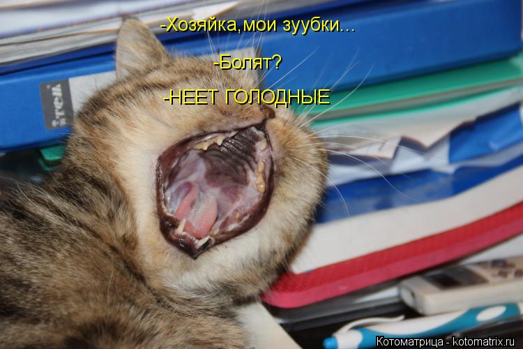 -Хозяйка,мои зуубки... -Болят? -НЕЕТ ГОЛОДНЫЕ... Котоматрица: -Хозяйка,мои зуубки... -Болят? -НЕЕТ ГОЛОДНЫЕ