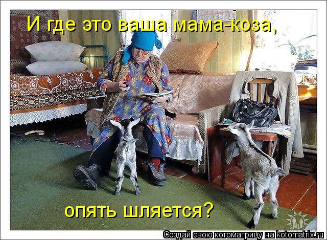 И где это ваша мама-коза, опять шляется?... Котоматрица: И где это ваша мама-коза, опять шляется?
