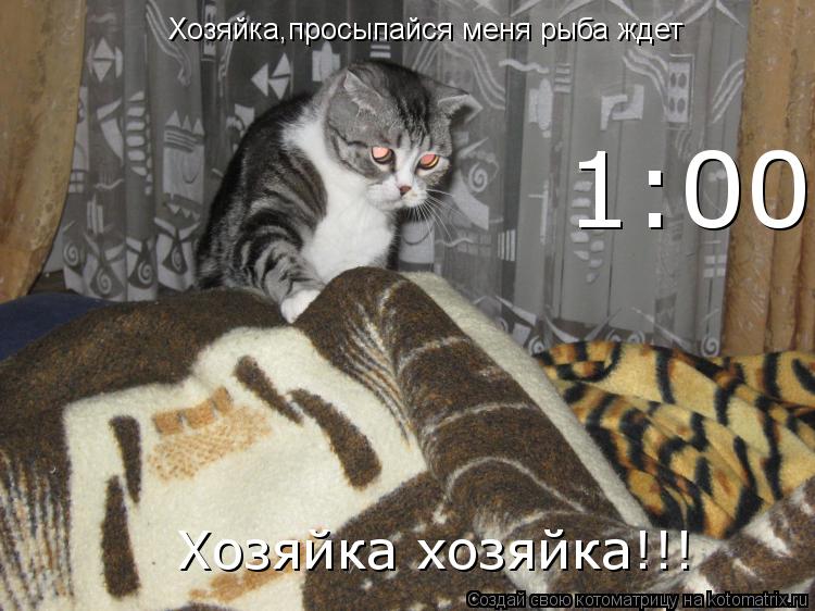 Хозяйка,просыпайся меня рыба ждет 1:00 Хозяйка хозяйка!!!... Котоматрица: Хозяйка,просыпайся меня рыба ждет 1:00 Хозяйка хозяйка!!!