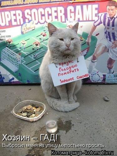 Хозяин – ГАД! Выбросил меня на улицу милостыню просить.... Котоматрица: Хозяин – ГАД! Выбросил меня на улицу милостыню просить.