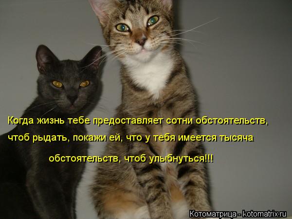 Когда жизнь тебе предоставляет сотни обстоятельств, чтоб рыдать, покажи ей, что у тебя имеется тысяч... Котоматрица: Когда жизнь тебе предоставляет сотни обстоятельств, чтоб рыдать, покажи ей, что у тебя имеется тысяча обстоятельств, чтоб улыбнуться!!!