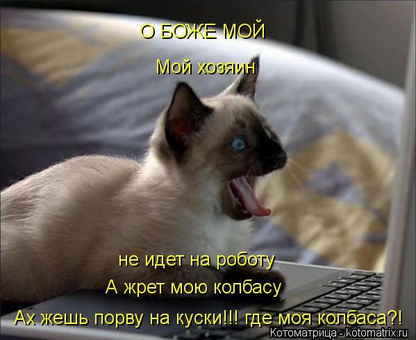 О БОЖЕ МОЙ Мой хозяин не идет на роботу А жрет мою колбасу Ах жешь порву на куски!!! где моя колбаса... Котоматрица: О БОЖЕ МОЙ Мой хозяин не идет на роботу А жрет мою колбасу Ах жешь порву на куски!!! где моя колбаса?!