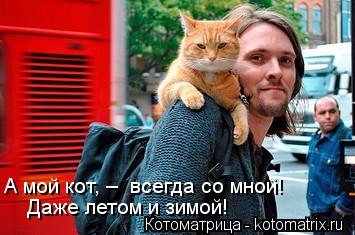 А мой кот, – всегда со мной! Даже летом и зимой!... Котоматрица: А мой кот, – всегда со мной! Даже летом и зимой!