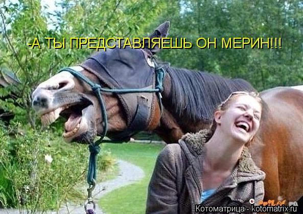 -А ТЫ ПРЕДСТАВЛЯЕШЬ ОН МЕРИН!!!... Котоматрица: -А ТЫ ПРЕДСТАВЛЯЕШЬ ОН МЕРИН!!!