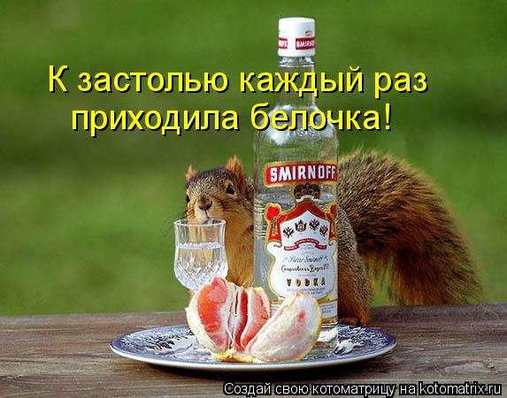 К застолью каждый раз приходила белочка!... Котоматрица: К застолью каждый раз приходила белочка!