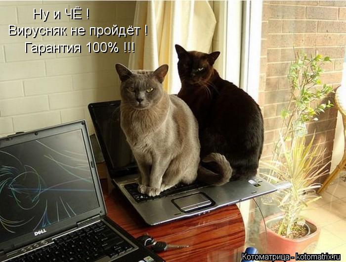 Ну и ЧЁ ! Вирусняк не пройдёт ! Гарантия 100% !!!... Котоматрица: Ну и ЧЁ ! Вирусняк не пройдёт ! Гарантия 100% !!!