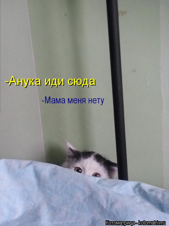 -Мама меня нету -Анука иди сюда... Котоматрица: -Мама меня нету -Анука иди сюда