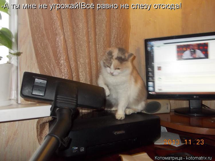 -А ты мне не угрожай!Всё равно не слезу отсюда!... Котоматрица: -А ты мне не угрожай!Всё равно не слезу отсюда!