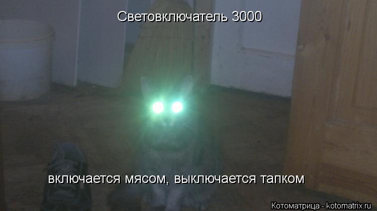 Световключатель 3000 включается мясом, выключается тапком... Котоматрица: Световключатель 3000 включается мясом, выключается тапком
