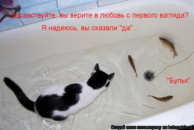 Здравствуйте, вы верите в любовь с первого взгляда? Я надеюсь, вы сказали "да"... "Бульк"... Котоматрица: Здравствуйте, вы верите в любовь с первого взгляда? Я надеюсь, вы сказали "да"... "Бульк"