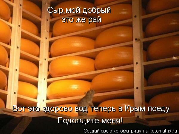 Сыр,мой добрый это же рай Вот это здорово вод теперь в Крым поеду Подождите меня!... Котоматрица: Сыр,мой добрый это же рай Вот это здорово вод теперь в Крым поеду Подождите меня!