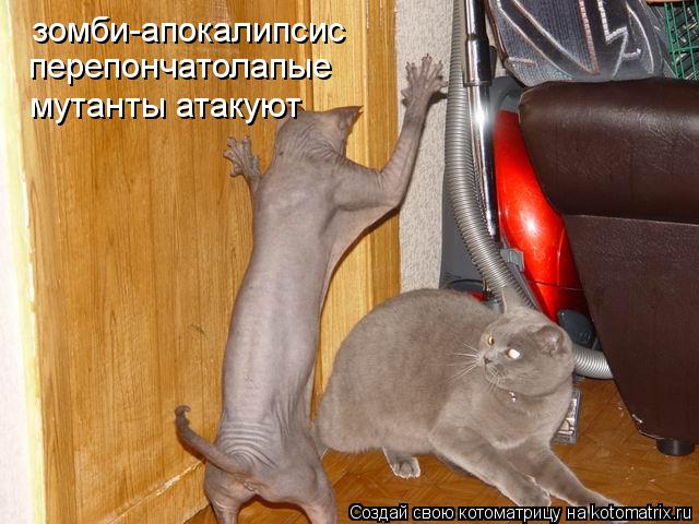 зомби-апокалипсис перепончатолапые мутанты атакуют перепончатолапые мутанты атакуют... Котоматрица: зомби-апокалипсис перепончатолапые мутанты атакуют перепончатолапые мутанты атакуют