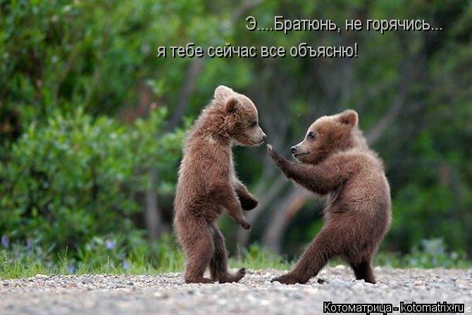 Котоматрица: Э....Братюнь, не горячись... я тебе сейчас все объясню!