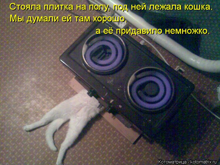 Стояла плитка на полу, под ней лежала кошка. Мы думали ей там хорошо, а её придавило немножко.... Котоматрица: Стояла плитка на полу, под ней лежала кошка. Мы думали ей там хорошо, а её придавило немножко.