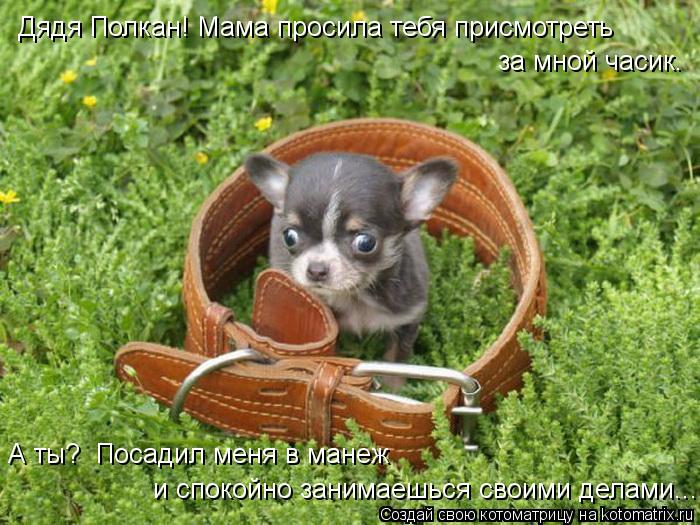Дядя Полкан! Мама просила тебя присмотреть за мной часик. А ты? Посадил меня в манеж и спокойно зан... Котоматрица: Дядя Полкан! Мама просила тебя присмотреть за мной часик. А ты? Посадил меня в манеж и спокойно занимаешься своими делами...