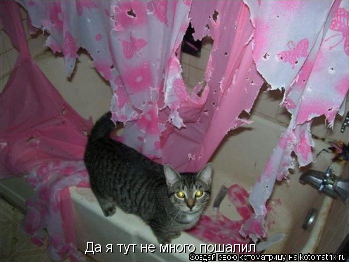 Да я тут не много пошалил... Котоматрица: Да я тут не много пошалил