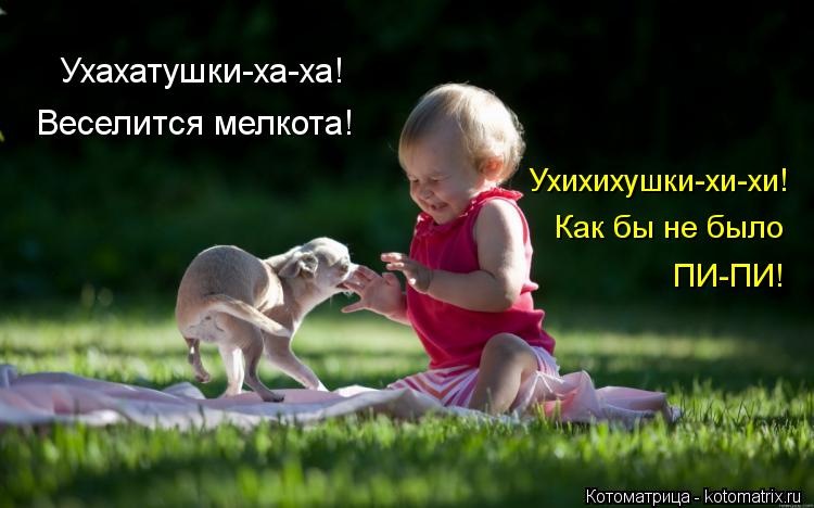Ухахатушки-ха-ха! Веселится мелкота! Ухихихушки-хи-хи! Как бы не было ПИ-ПИ!... Котоматрица: Ухахатушки-ха-ха! Веселится мелкота! Ухихихушки-хи-хи! Как бы не было ПИ-ПИ!