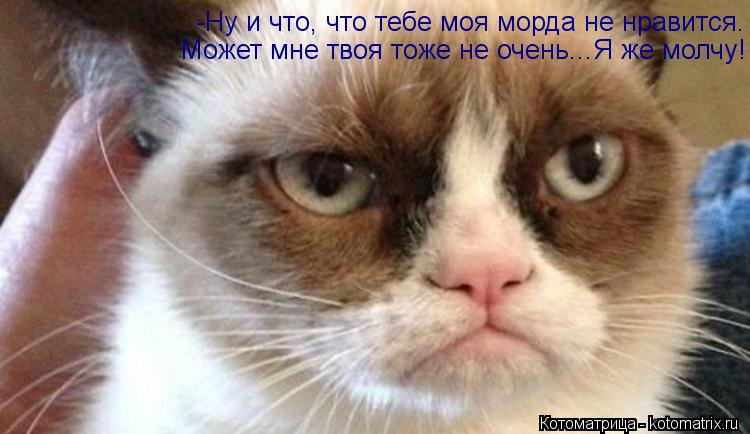 -Ну и что, что тебе моя морда не нравится. Может мне твоя тоже не очень...Я же молчу!... Котоматрица: -Ну и что, что тебе моя морда не нравится. Может мне твоя тоже не очень...Я же молчу!
