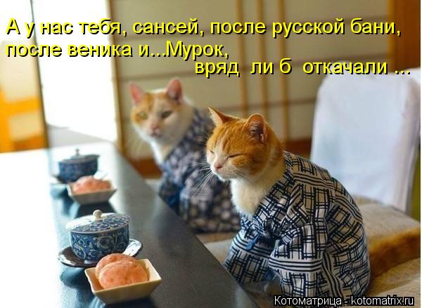 А у нас тебя, сансей, после русской бани, после веника и...Мурок, вряд ли б откачали ...... Котоматрица: А у нас тебя, сансей, после русской бани, после веника и...Мурок, вряд ли б откачали ...