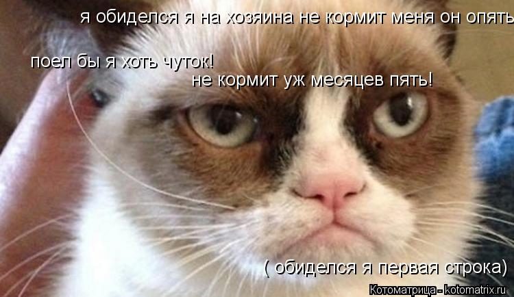 Котоматрица: я обиделся я на хозяина не кормит меня он опять!  поел бы я хоть чуток! не кормит уж месяцев пять! ( обиделся я первая строка)
